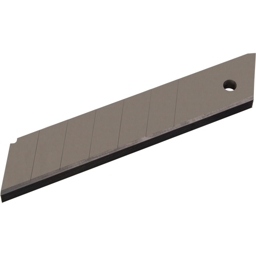 25mm Replacement Blades, Snap-Off Style Chandler Sales