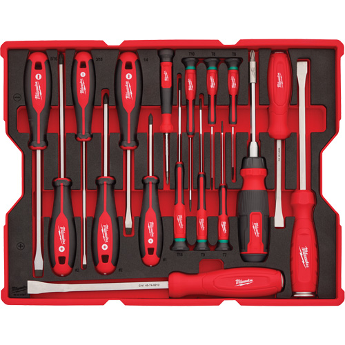 Jeu de tournevis et de leviers avec organisateur pour tiroirs PACKOUT, 17, Magn&eacute;tique Chandler Sales