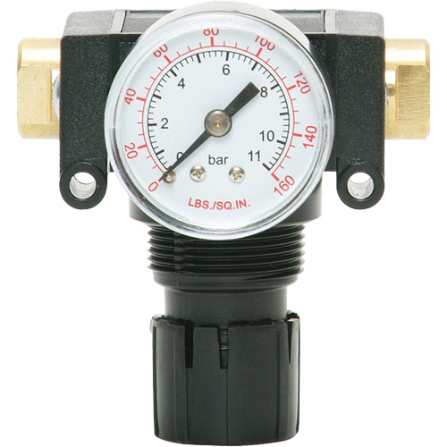 MODULAIR 200 Acetal Piston Regulator, 1/4" NPT, 150 PSI Max. PSI, In Line/Modular Chandler Sales
