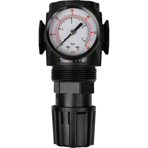 MODULAIR 300 Compressed Air Regulator, 1/2" NPT, 300 psi Max. PSI, In Line/Modular Chandler Sales