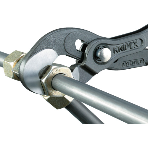 Raptor Pliers, 10" Chandler Sales