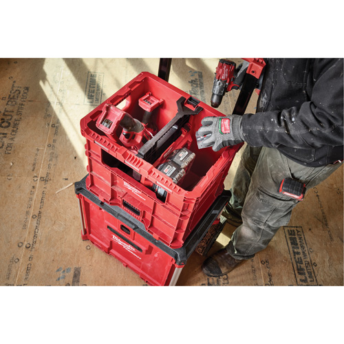 Caisse Packout, 15-3/4" x 18-5/8" x 15", Noir/Rouge Chandler Sales