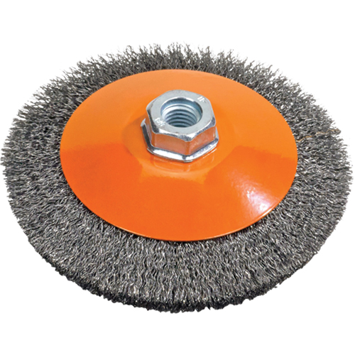 Brosse soucoupe &agrave; fils nou&eacute;s torsad&eacute;s, Dia. 5", Fils 0,02", Arbre 5/8"-11, Acier Chandler Sales