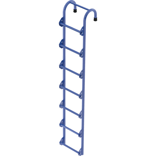 Tank Access Ladder Chandler Sales