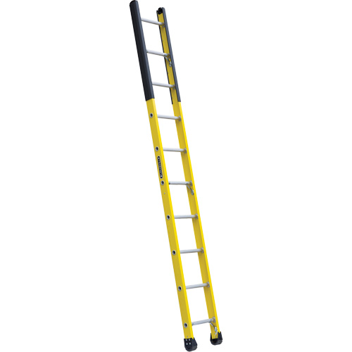 Single Manhole Ladder, 10', Fibreglass, 375 lbs., CSA Grade 1AA Chandler Sales