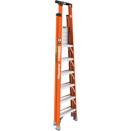 Safespace Platform Step Ladder, 6', 300 lbs. Cap. Chandler Sales