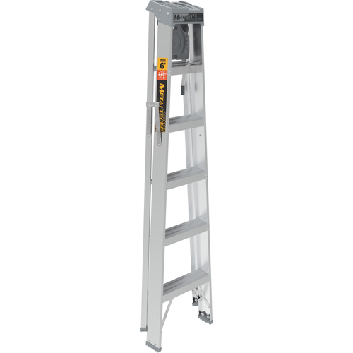 Step Ladder with Paint Tray, 6', Aluminum, 225 lbs. Capacity, Type 2 Chandler Sales