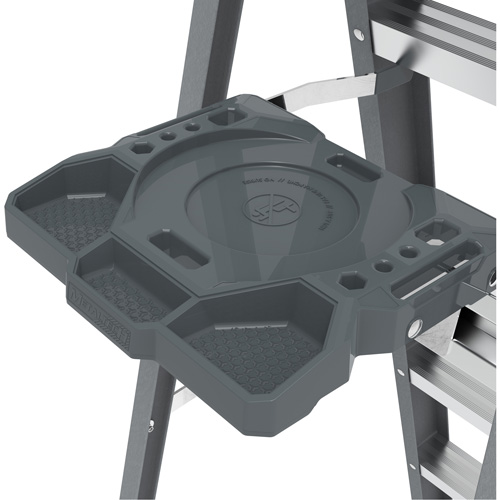 Step Ladder with Paint Tray, 6', Fibreglass, 225 lbs. Capacity, Type 2 Chandler Sales