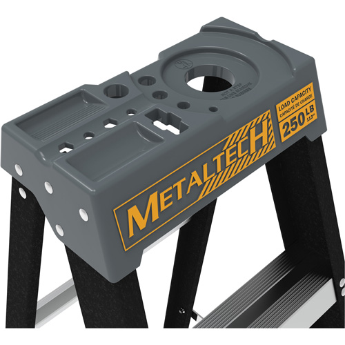 Step Ladder, 10', Fibreglass, 250 lbs. Capacity, Type 1 Chandler Sales