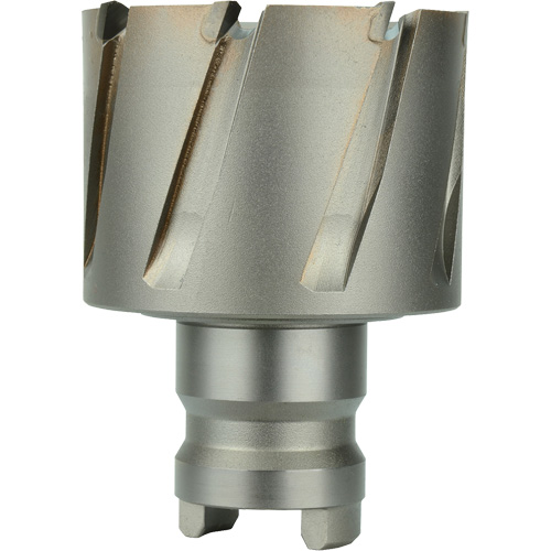 Fraise avec tenon &agrave; changement rapide Drive Hawg, Diam&egrave;tre de 5/8", Carbure, Profondeur de la coupe de 1", Tige 3/4" Chandler Sales