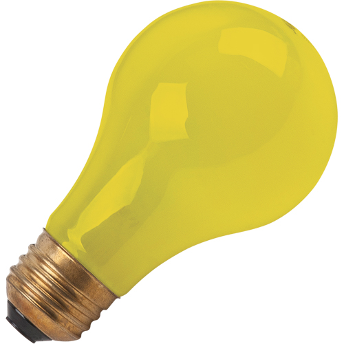 LAMPE INCANDESCENTE,BUG-LITE,60W,120V,2/PQT Chandler Sales