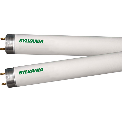 Fluorescent Lamps, 32 W, T8, 4100 K, 48" Long Chandler Sales