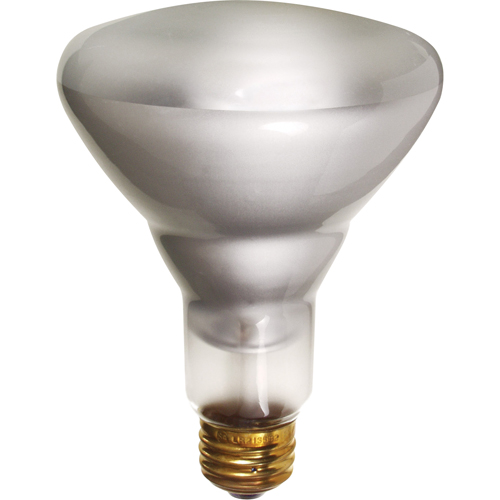 Economy Line Incandescent Lamps Chandler Sales