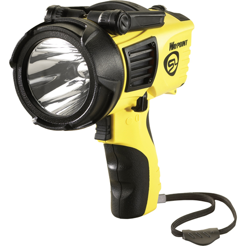 Projecteurs style pistolet Waypoint, DEL, 550 Lumens, Piles C Chandler Sales