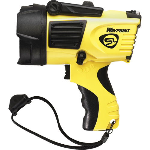 Projecteurs style pistolet Waypoint, DEL, 550 Lumens, Piles C Chandler Sales