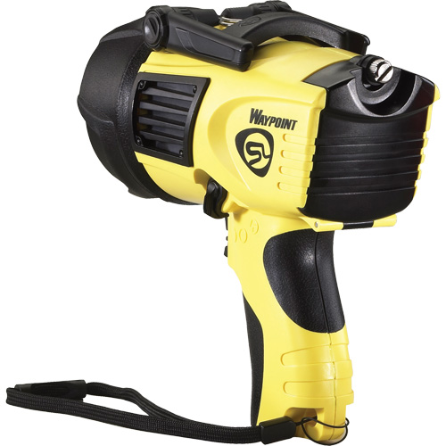 Projecteurs style pistolet Waypoint, DEL, 550 Lumens, Piles C Chandler Sales