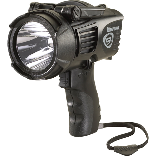 Projecteurs style pistolet Waypoint, DEL, 550 Lumens, Piles C Chandler Sales