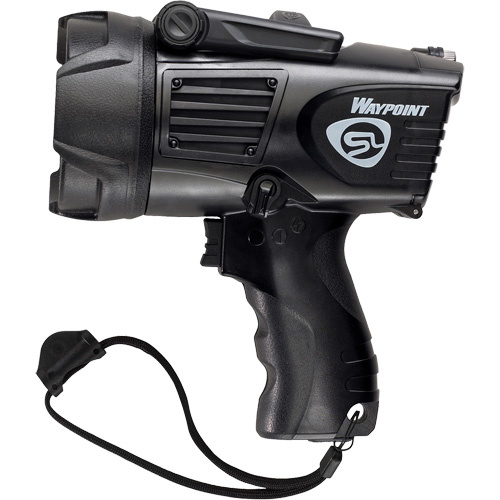 Projecteurs style pistolet Waypoint, DEL, 550 Lumens, Piles C Chandler Sales