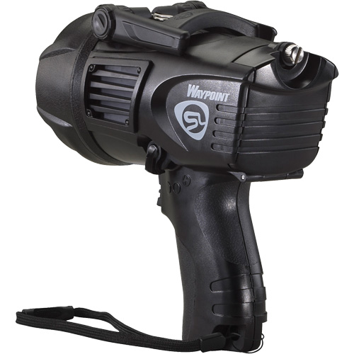 Projecteurs style pistolet Waypoint, DEL, 550 Lumens, Piles C Chandler Sales