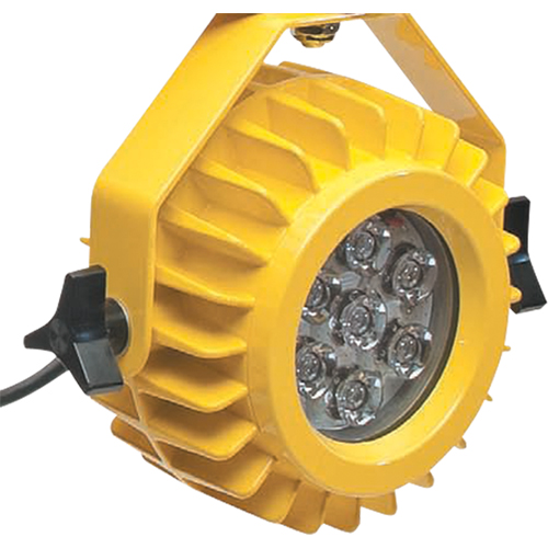 Heavy-Duty LED Dock Light - Head Only Chandler Sales