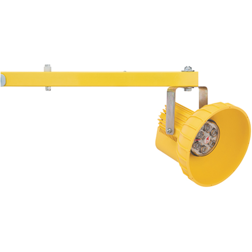 Lampes DEL en polycarbonate pour quai de chargement Chandler Sales
