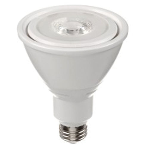 Ampoule DEL, PAR30, 10 W, 800 lumens, base Moyen Chandler Sales