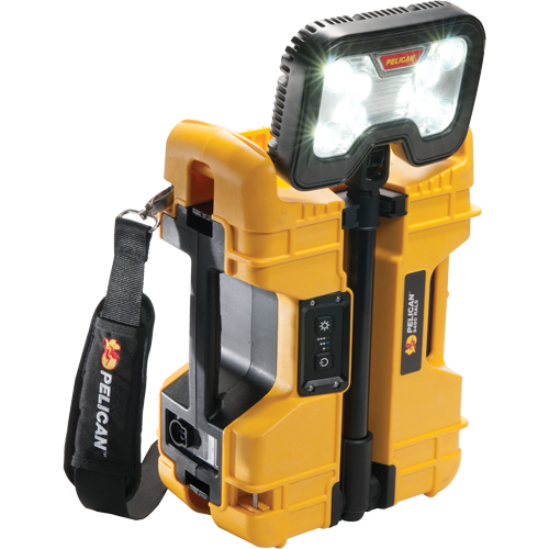 9480 Remote Area Lighting Systems, LED, 41.1 W, 4000 Lumens, Plastic Housing Chandler Sales