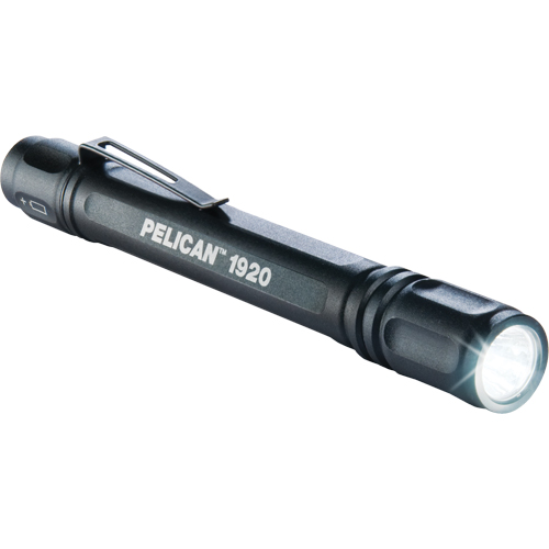 Lampes de poche ProGear 1920, DEL, 120 lumens, Piles AAA Chandler Sales