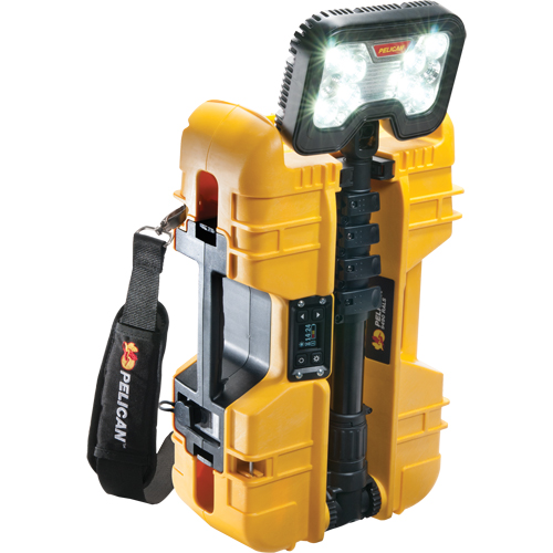 9490 Remote Area Lighting Systems, LED, 53.3 W, 6000 Lumens, Plastic Housing Chandler Sales