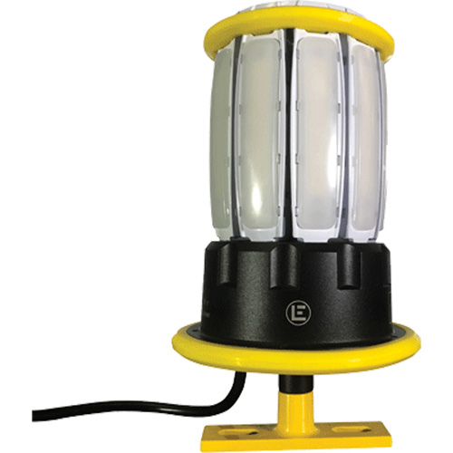 Projecteurs portatifs, DEL, 120 W, 13 000 lumens, Boîtier en Aluminium Chandler Sales