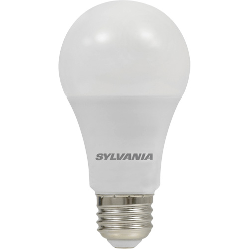 Ampoule DEL, A19, 8,5 W, 800 lumens, base Moyen Chandler Sales