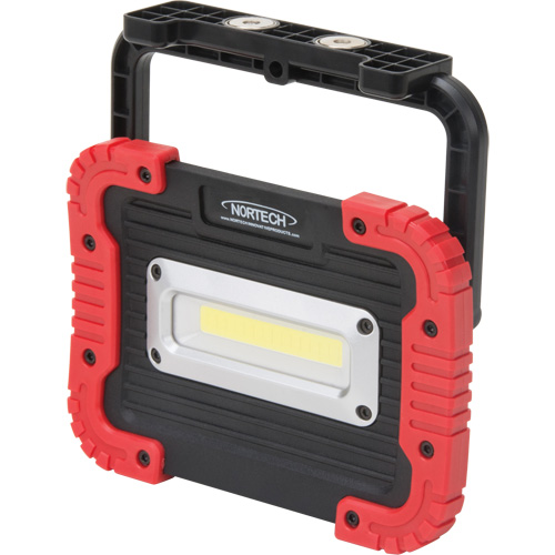 Portable Work Light, LED, 10 W, 1000 Lumens, Plastic Housing Chandler Sales