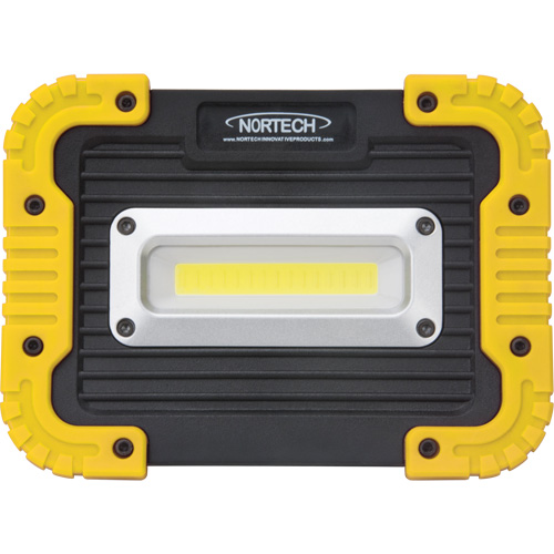 Portable Work Light, LED, 10 W, 1000 Lumens, Plastic Housing Chandler Sales