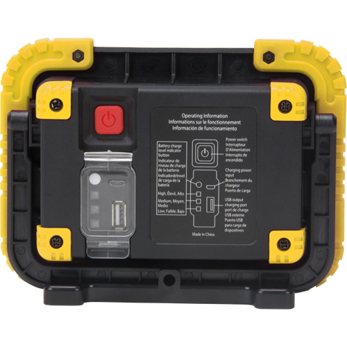 Portable Work Light, LED, 10 W, 1000 Lumens, Plastic Housing Chandler Sales