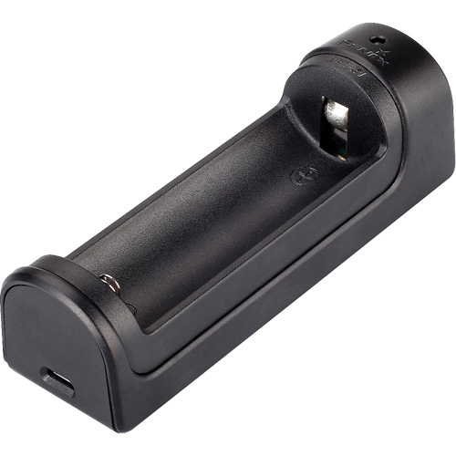 Chargeur intelligent pour pile &agrave; un canal Chandler Sales