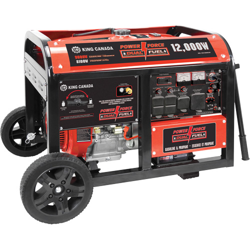 Gasoline/Propane Generator with Electric Start Chandler Sales