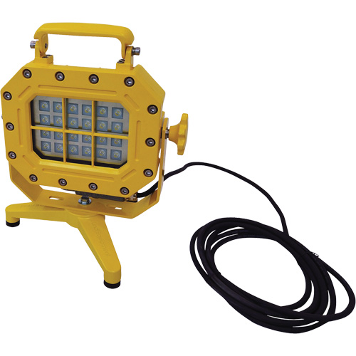 Explosion Proof Floodlight with Stand, LED, 40 W, 5600 Lumens, Aluminum Housing Chandler Sales