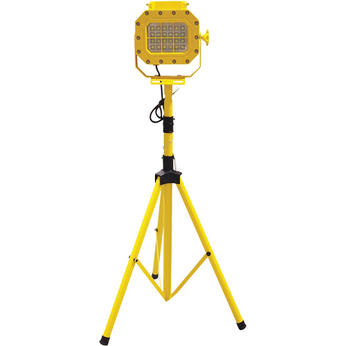 Explosion Proof Floodlight with Tripod, LED, 40 W, 5600 Lumens, Aluminum Housing Chandler Sales