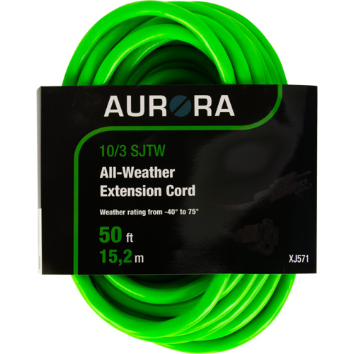 Cordon rallonge de calibre industriel, Toutes saisons, SJTW, AWG 10/3, 15 A, 50' Chandler Sales