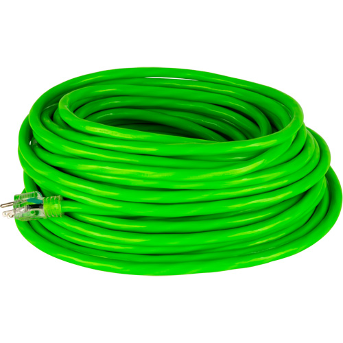 Cordon rallonge de calibre industriel, Toutes saisons, SJTW, AWG 10/3, 15 A, 100' Chandler Sales
