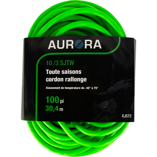 Cordon rallonge de calibre industriel, Toutes saisons, SJTW, AWG 10/3, 15 A, 100' Chandler Sales