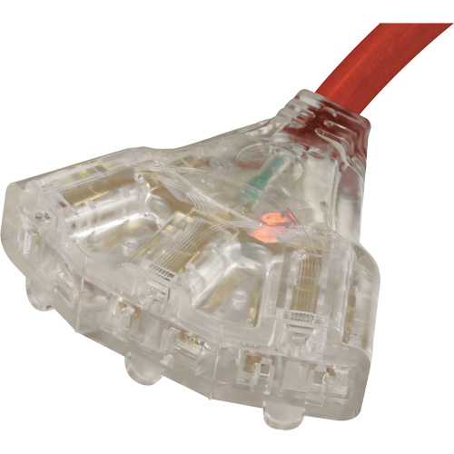 Generator Extension Cord with Tritap, STW, 10 AWG, 3 Outlet(s), 25' Chandler Sales
