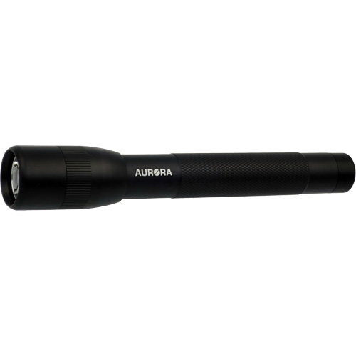 Lampe de poche IPX4, 100 lumens, Piles AA Chandler Sales