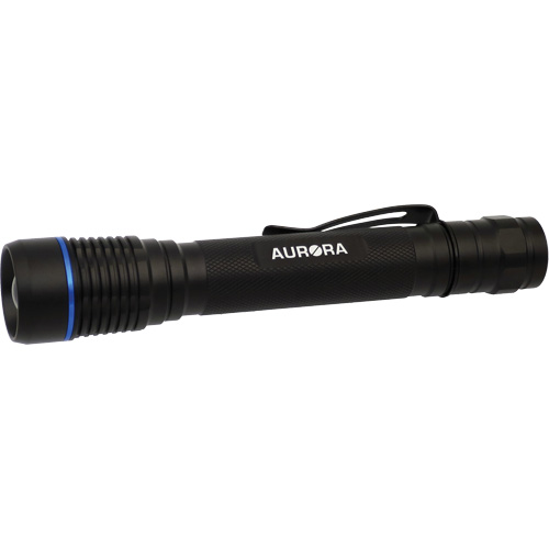 Lampe de poche IPX7, DEL, 250 lumens, Piles AA Chandler Sales