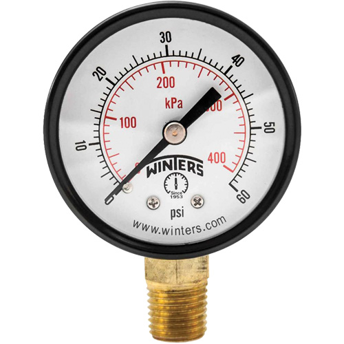 Economy Pressure Gauge, 2" , 0 - 60 psi, Bottom Mount, Analogue Chandler Sales
