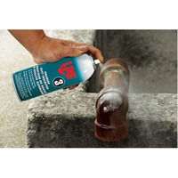 3&reg; Premier Rust Inhibitor, Aerosol Can Chandler Sales