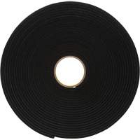 Ruban de mousse en vinyle 4504, 25,4 mm (1") la x 16,5 m (54') lo, 250 mils, Noir Chandler Sales