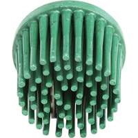 Disques bristle Roloc, Grain 120, 1" dia. Chandler Sales
