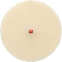 Disque Scotch-Brite 7502 pour retrait de colle et de bandes de moulage, 6" dia. Chandler Sales