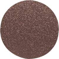 Disque de ponçage pour le bois, 12" dia., Grain 60 Chandler Sales